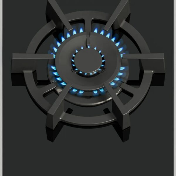 Bosch PRA3A6I10 Kaasuliesi