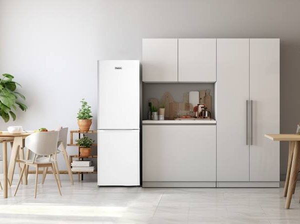 Frigelux RC202BD Jääkaappipakastin – kuva 3