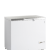 Tefcold FR305S SL