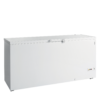 Tefcold FR605 SL