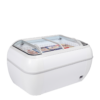 Tefcold TWIN HEAD-F