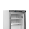Tefcold UF200G Display Freezer