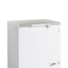Tefcold FR205S SL