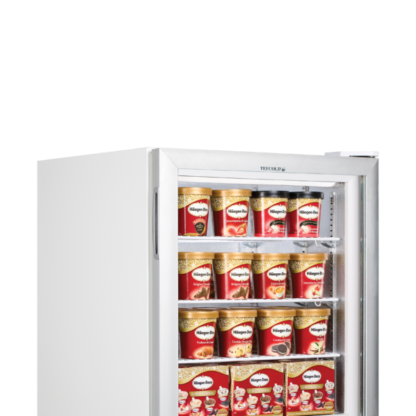 Tefcold UF100G – kuva 1