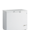 Tefcold FR305 SL