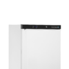 Tefcold UR200W1 Storage Cooler