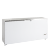 Tefcold FR605S SL
