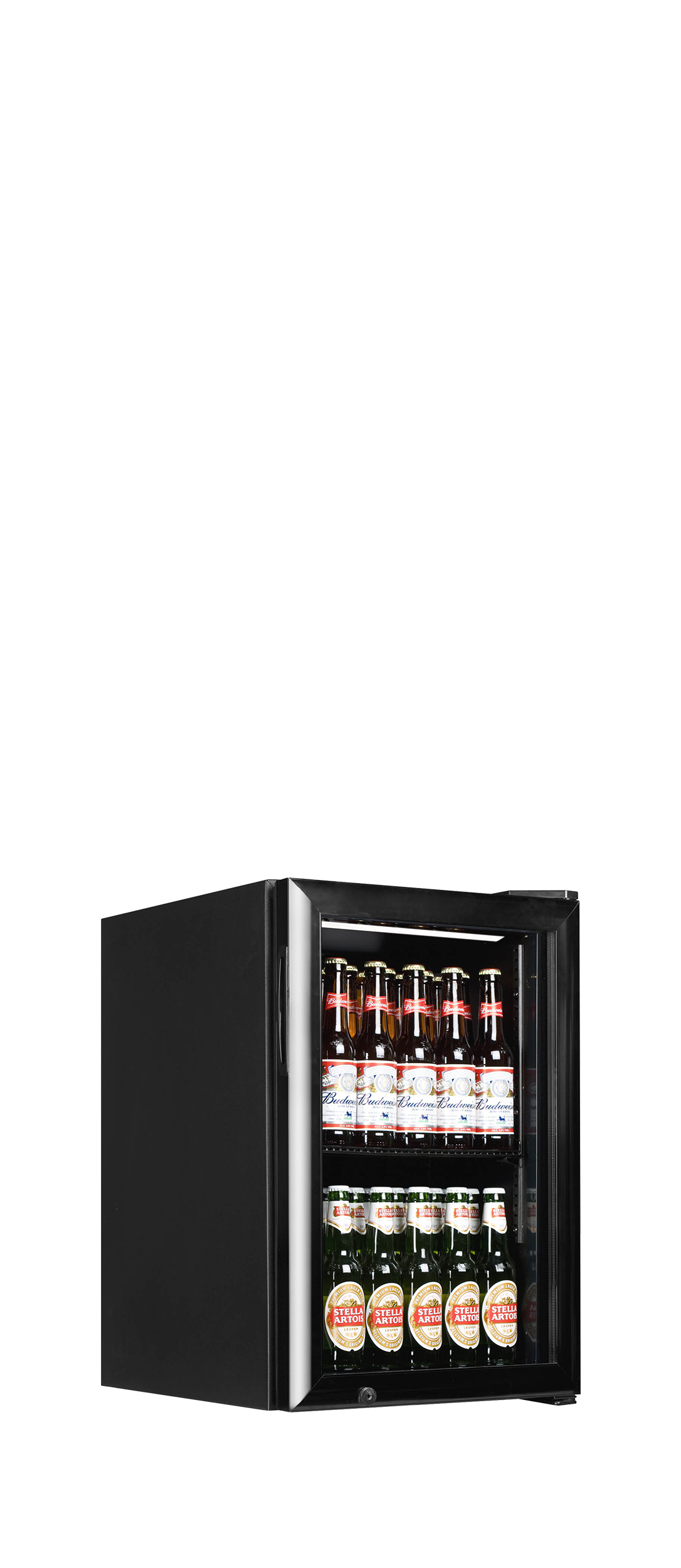 Tefcold BC60 – kuva 1