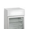 Tefcold UF100GCP