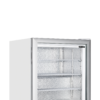 Tefcold UF100G