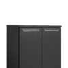 Tefcold SKB-2 High-end KEG Cooler