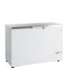 Tefcold FR405S SL
