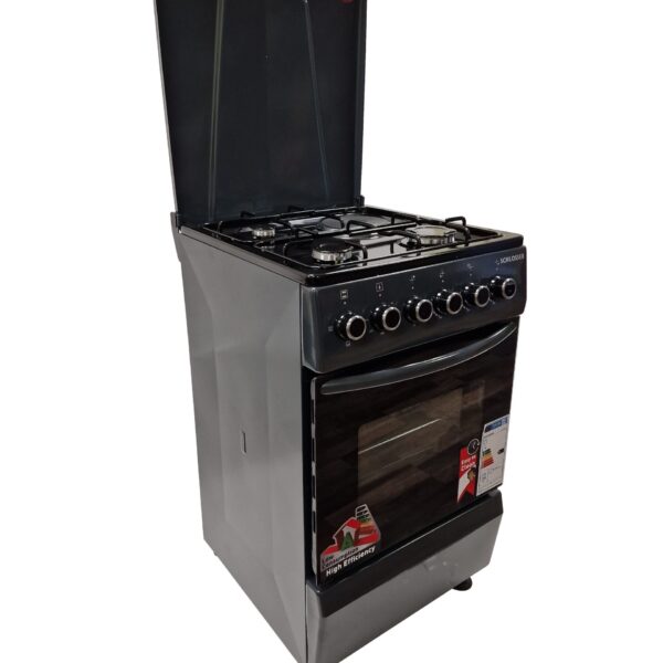 Electric cooker Schlosser – kuva 1